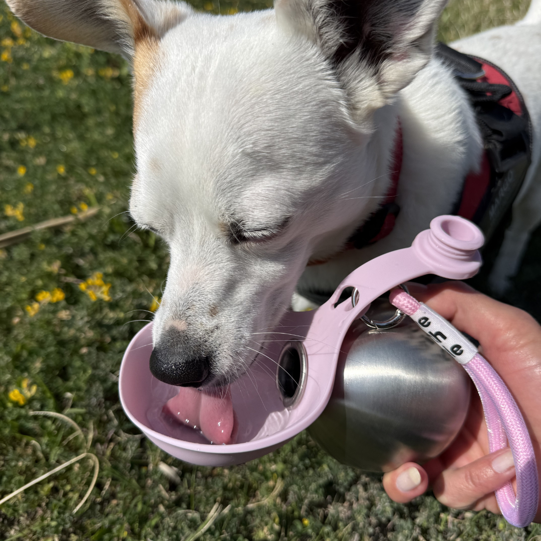 Tiworld™ Dog Water Bottle with Bowl